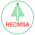 Logo recmsa